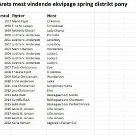 Spring Distrikt Pony